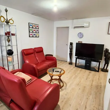 Le Refuge D'albi - T3 Lumineux Et équipé *