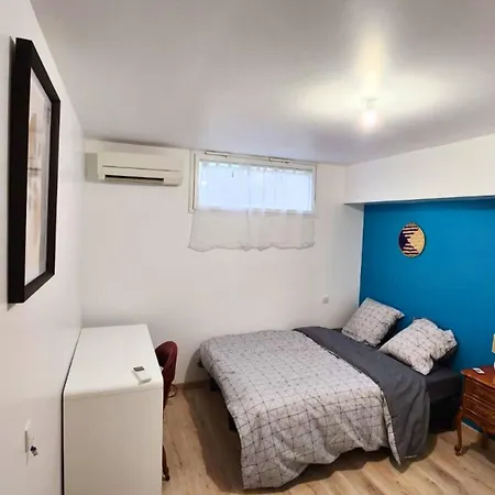 Le Refuge D'albi - T3 Lumineux Et équipé *