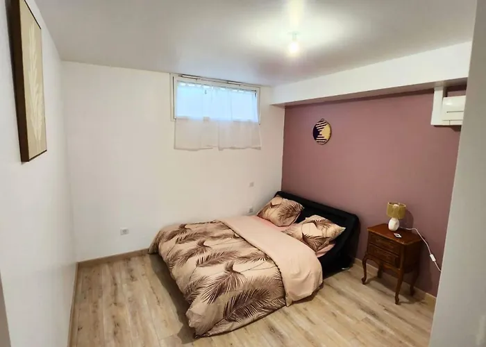 Le Refuge D'albi - T3 Lumineux Et Equipe