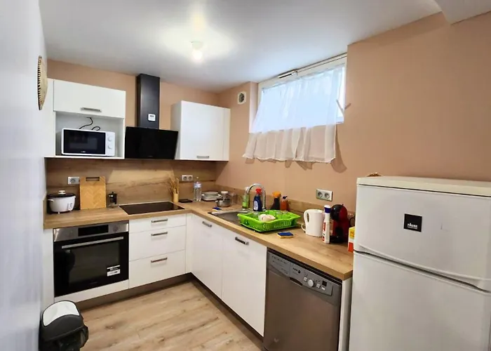 Daire Le Refuge D'albi - T3 Lumineux Et Equipe