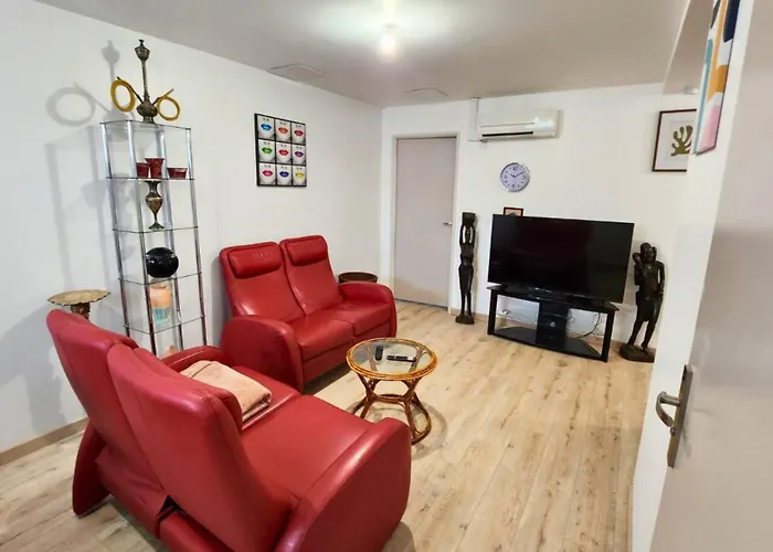 Le Refuge D'albi - T3 Lumineux Et Equipe *