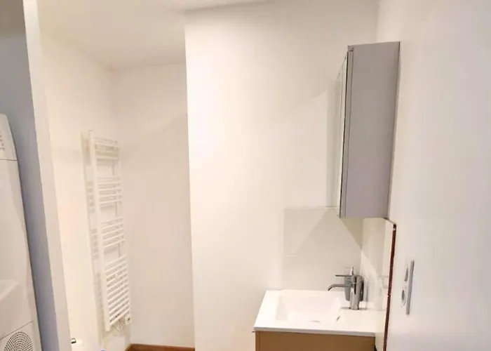 Daire Le Refuge D'albi - T3 Lumineux Et Equipe *